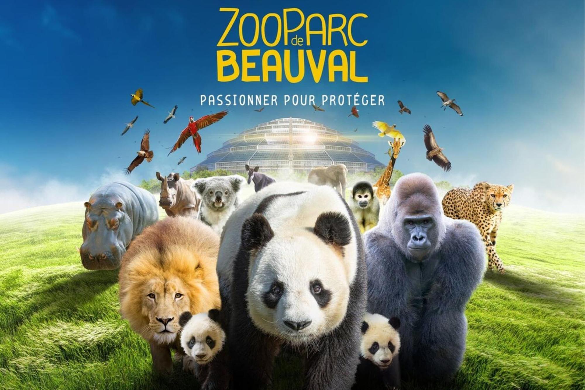 Les Pivoines Au Calme 15Min Du Zoo Βίλα Meusnes Εξωτερικό φωτογραφία